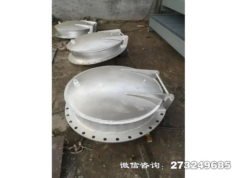 宜春防止洪水倒灌不锈钢拍门