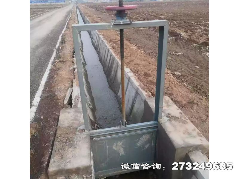 金明抗磨钢制含沙闸门