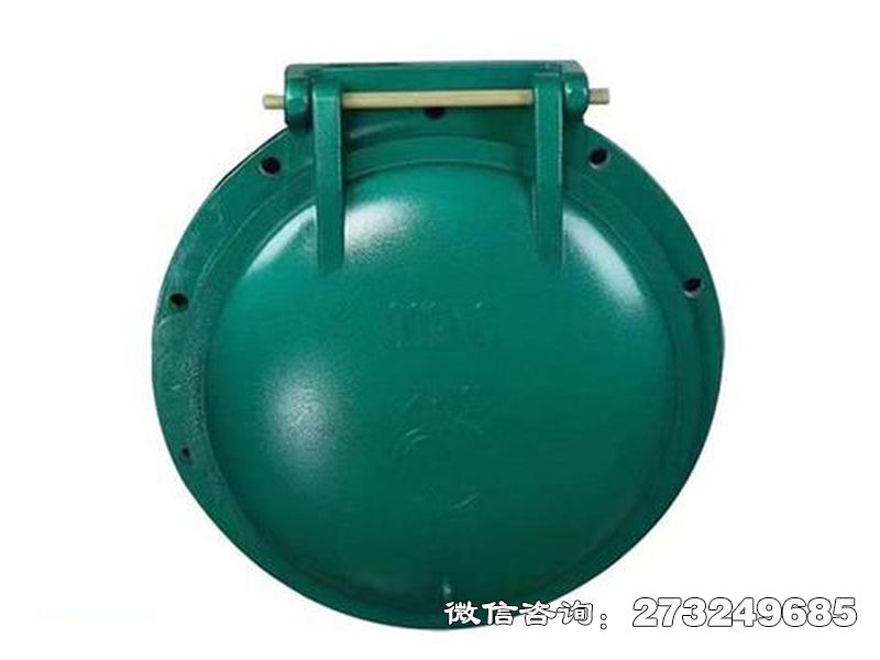 卫滨铸铁圆型潮汐防倒灌拍门