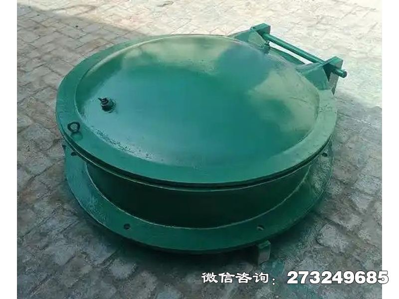 卫滨铸铁圆型一体化泵站拍门